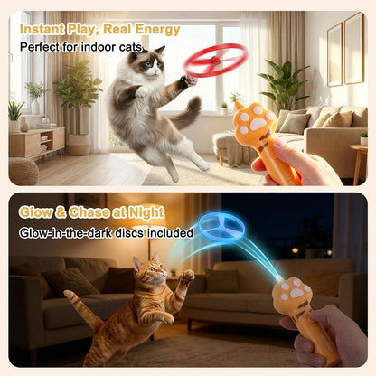 Cat playing with flying disc toy