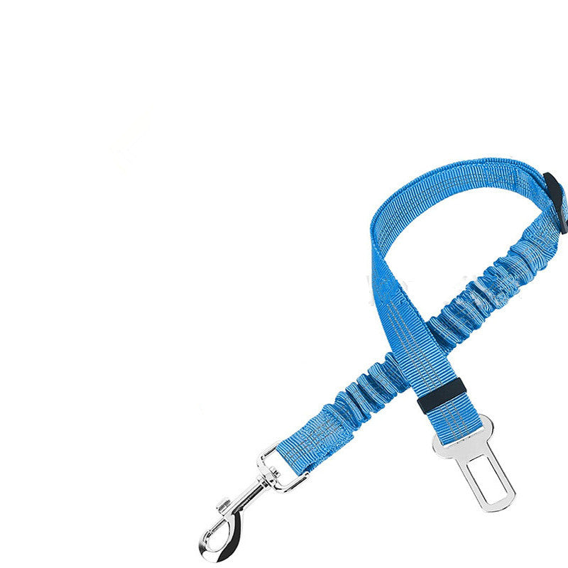 Blue nylon dog car tether lying flat against a plain white background.