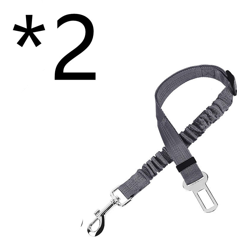 Grey nylon dog car seat belt tether coiled on a plain white background.