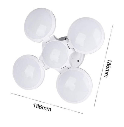 White plastic four-leaf folding LED lantern laid open on a white studio background, showing its size markings.